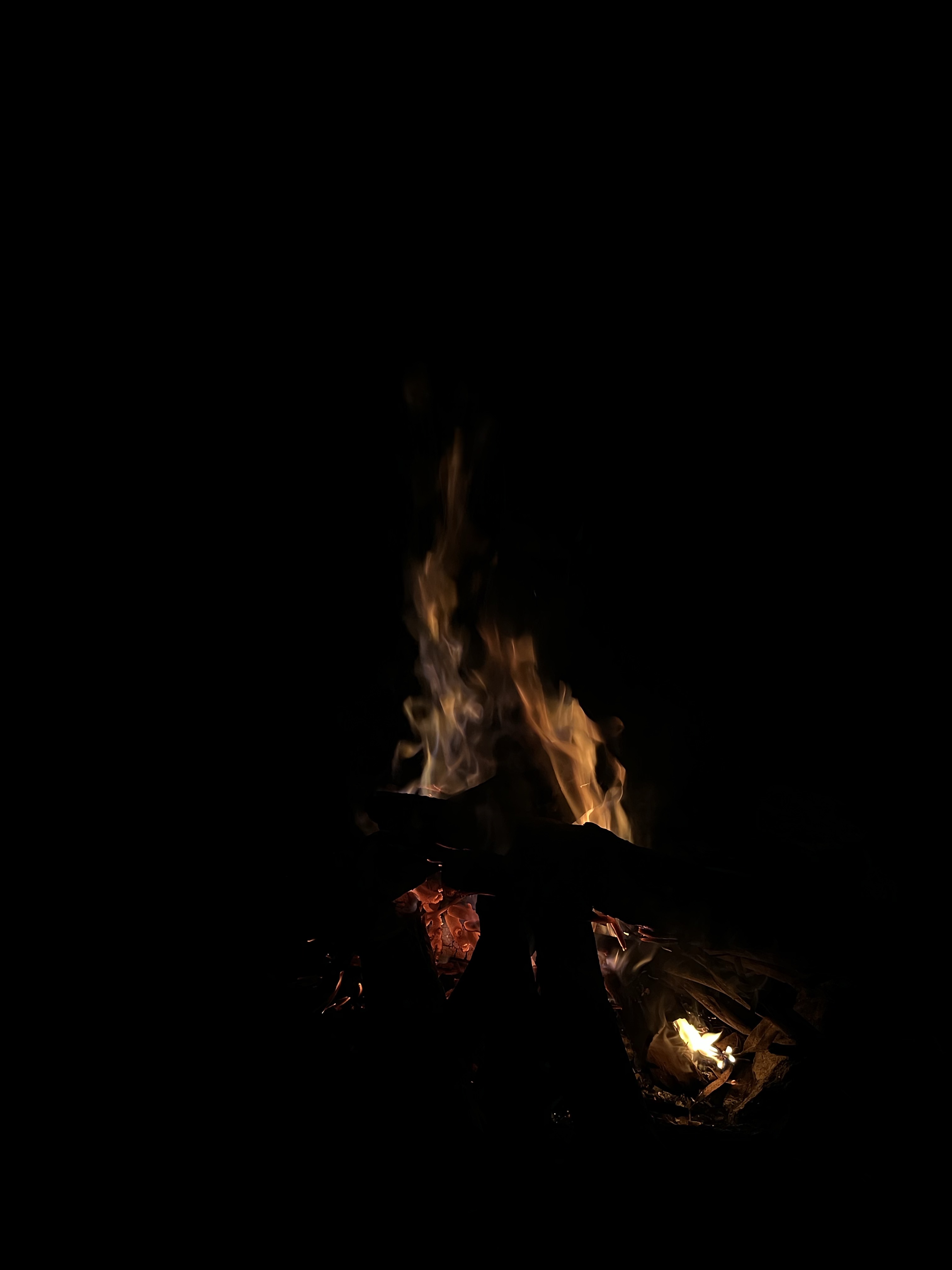 Bonfire Evenings — Eco Valley