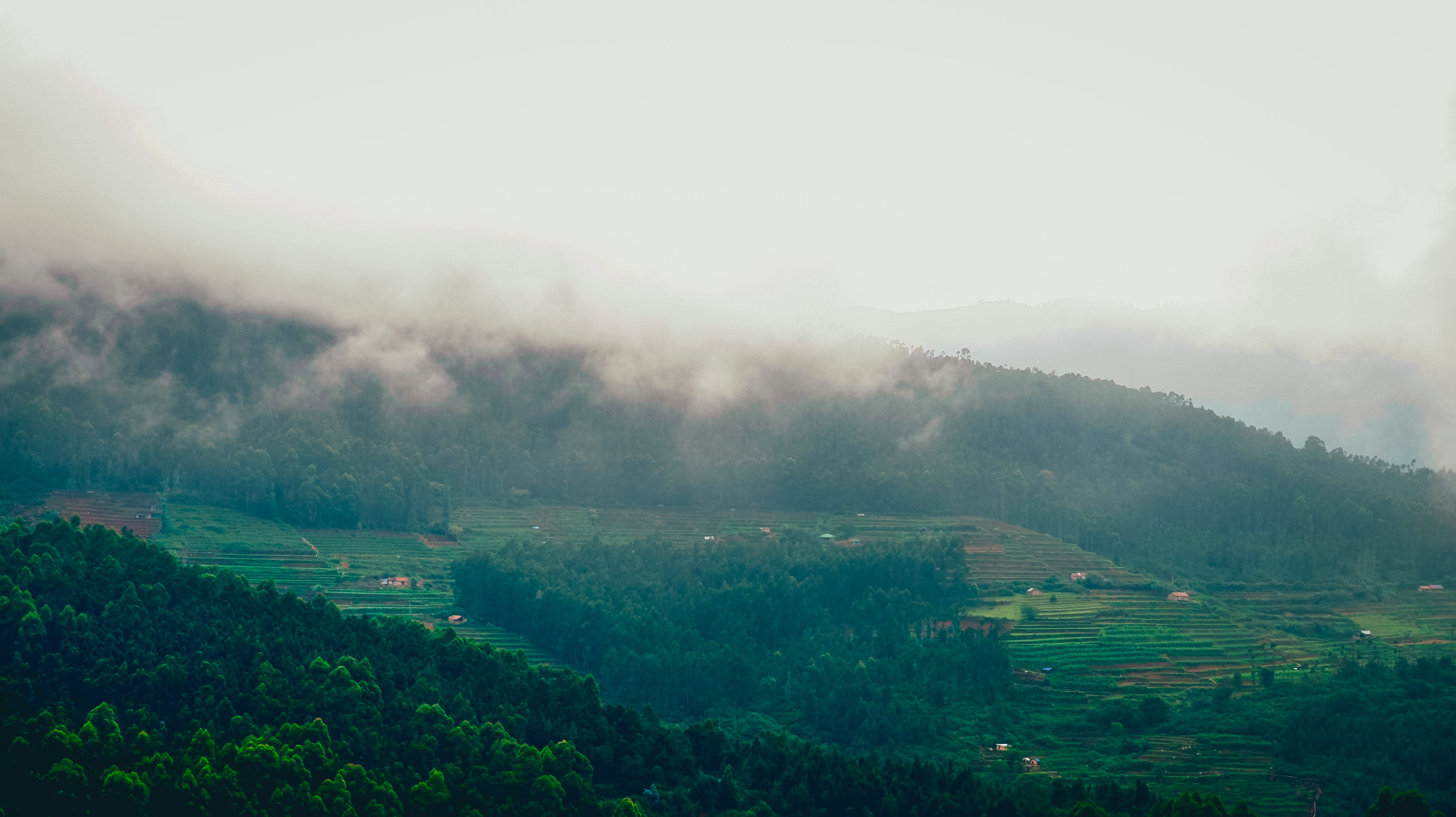 Misty Mountain Air — Eco Valley